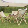 Стул складной NATUREHIKE серия Q-9E NH19JJ008 , коричневый, размер M, 6927595775349